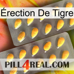 Érection De Tigre cialis2